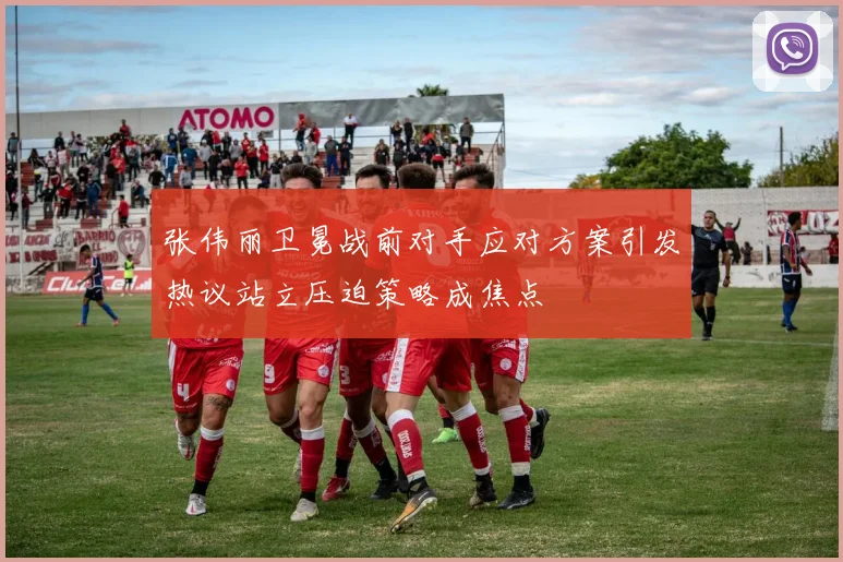 张伟丽卫冕战前对手应对方案引发热议站立压迫策略成焦点